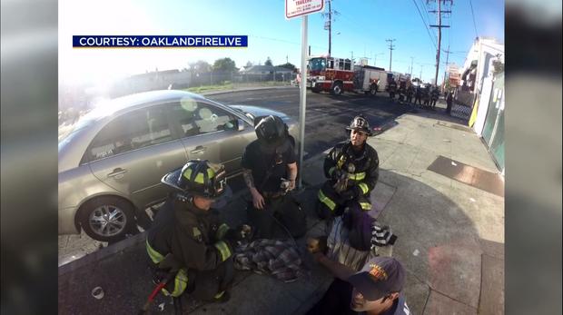 pup oakland fire department saves puppies 