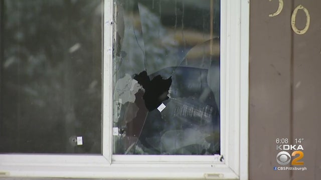 monroeville sunnyfield drive shooting