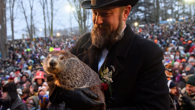 "Punxsutawney Phil"  Looks For His Shadow At Annual Groundhog Day Ritual In PA 