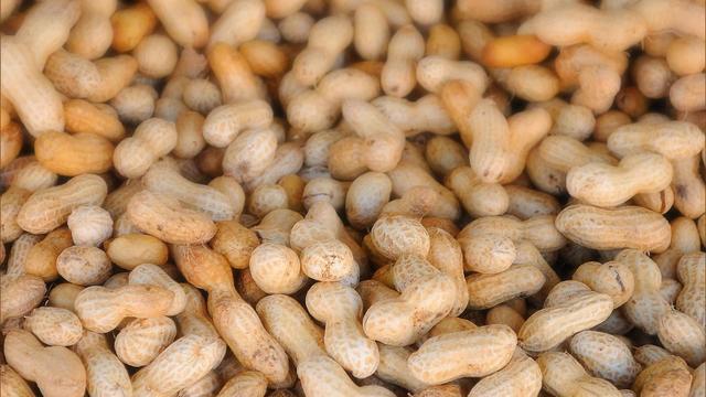 0203-sunmo-peanutallergies-1773956-640x360.jpg 