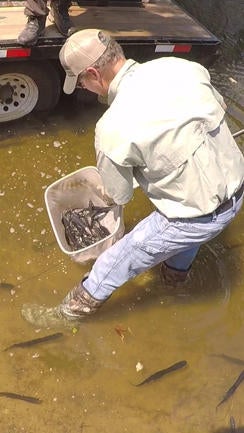 Nature up close: Caddo Lake - CBS News