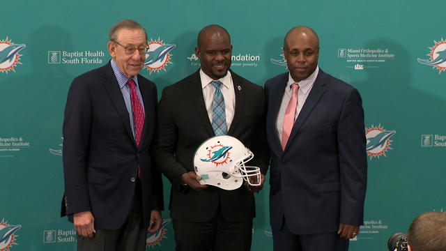 dolphins-presser-2-4_2.jpg 