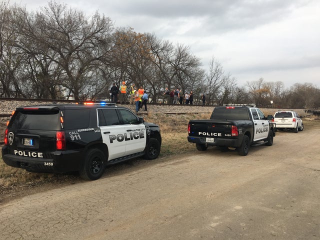 pedestrian struck, killed by train 