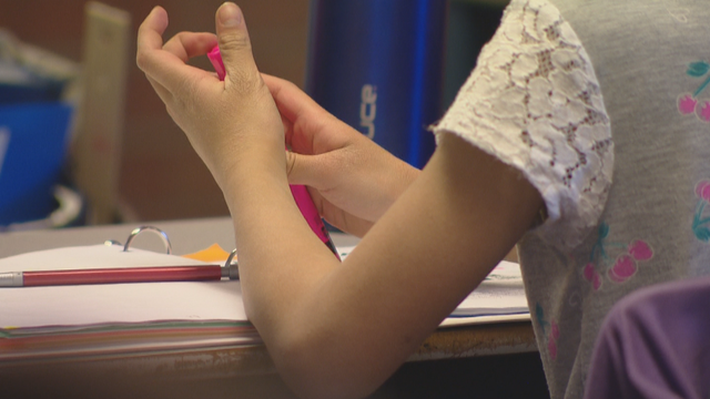 DPS TEACHER STRIKE 10PKG.transfer_frame_1605 