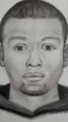 Mount Prospect Burglary Suspect 