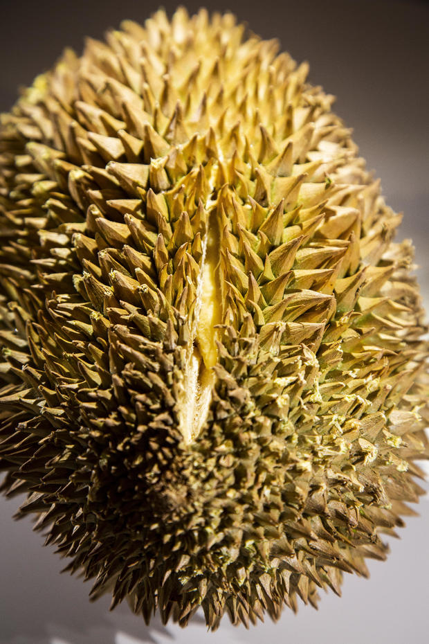 durian-1.jpg 