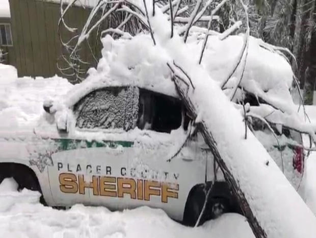 Placer County Sheriff's Office Vehicle Damaged During Storm By Tree 