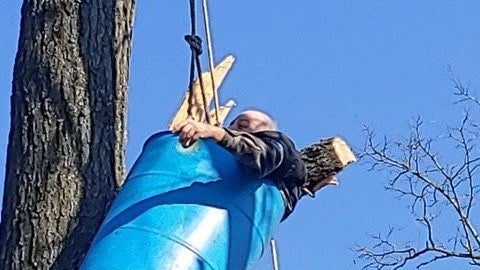 0219tree.jpg 