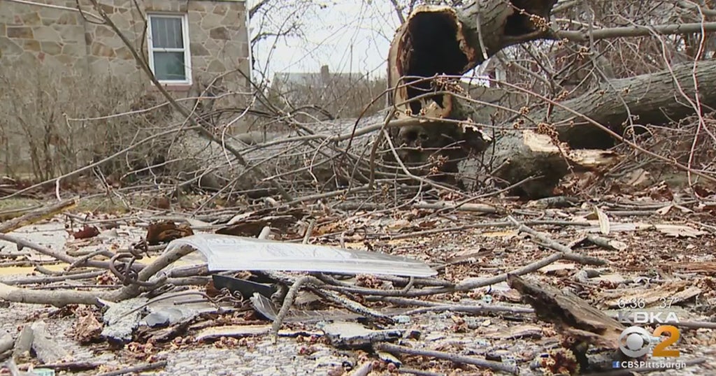 Pittsburgh Weather: Winds Knock Down Trees, Cause Damage Across ...