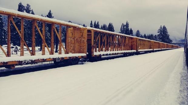 Snow-Stranded LA-Bound Amtrak Train Heads Back Up North 