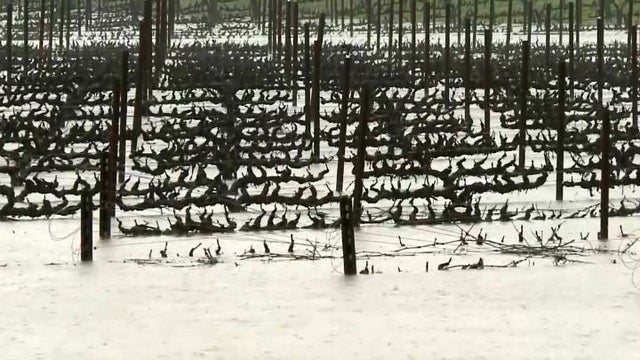sonoma-flooding-kpix.jpg 