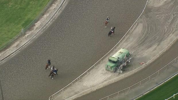Horse Death Toll At Santa Anita Race Track Rises To 19 