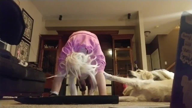 dog-yoga.jpg 