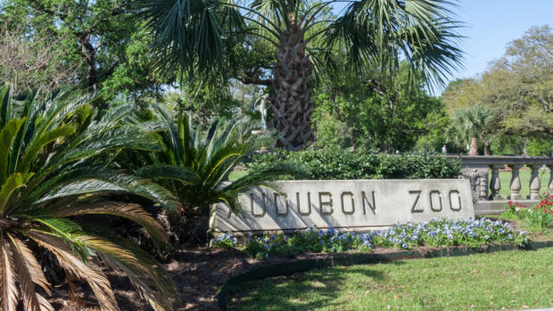Audubon Zoo in New Orleans 