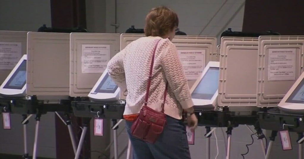 'Election Protection Volunteers' To Serve As Voters' Defense On ...