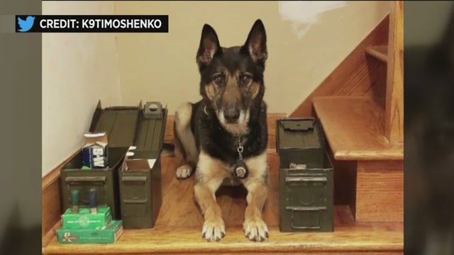 k9ammo.jpg 