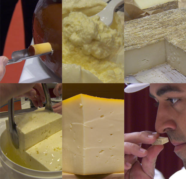 cheese-montage-620-tall.jpg 