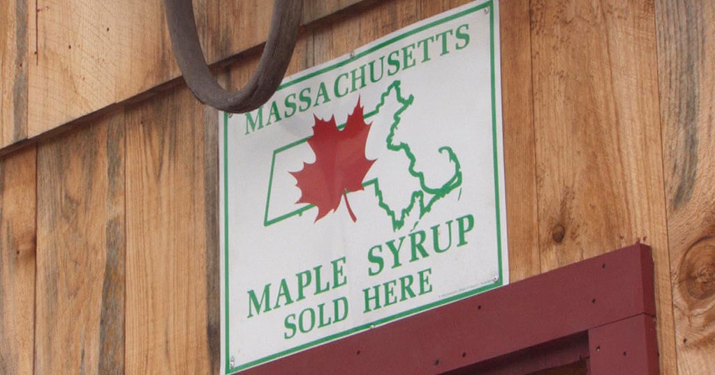 Maple Celebrations Return In Some States, With Precautions - CBS Boston