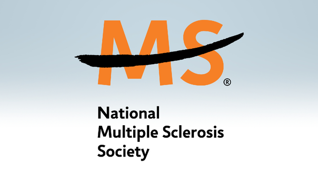 ms-logo.png 