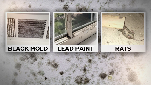 military housing issues 