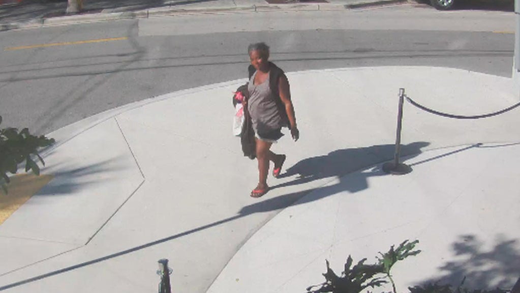 Miami Police Announce Arrest After Seeking Woman In Child Abduction ...