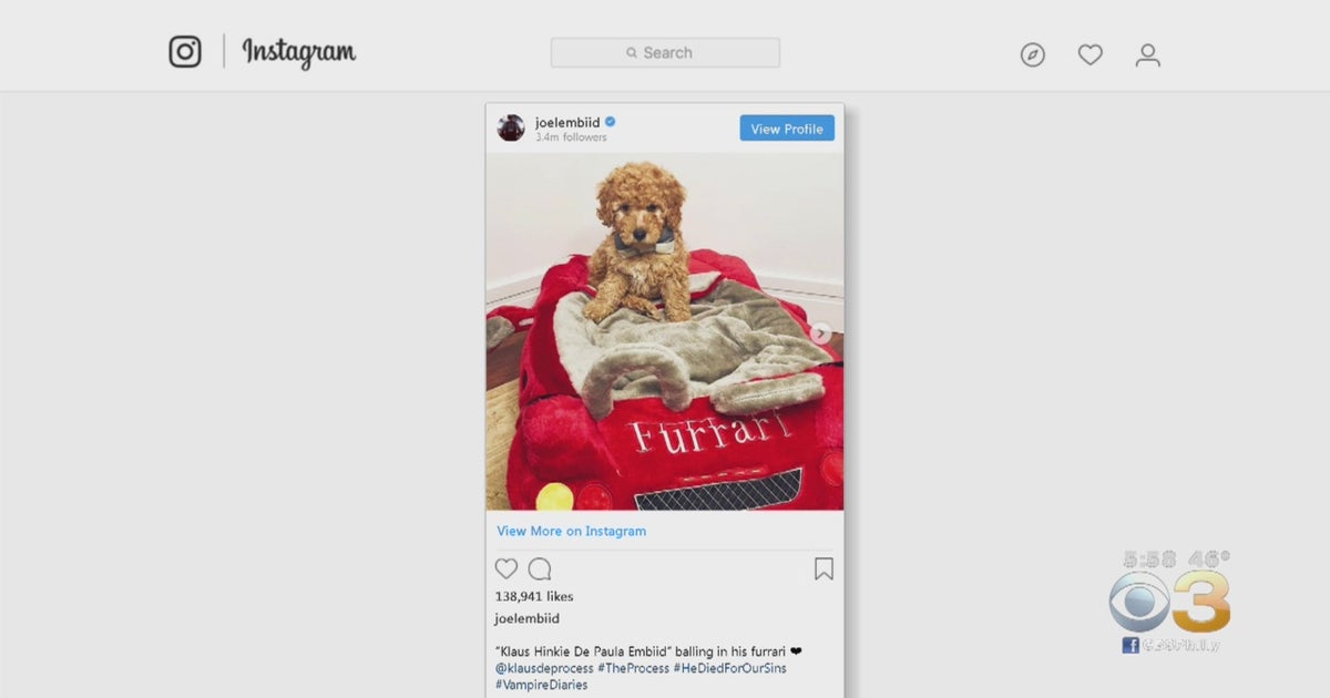 Joel Embiid Makes Instagram For New Puppy 'Klaus Hinkie De Paula Embiid ...