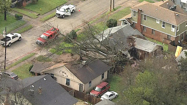 dallas-tree-down-3.jpg 