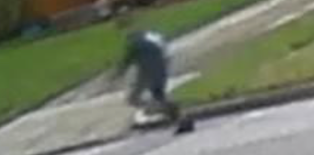 Richland Hills robbery, assault suspect