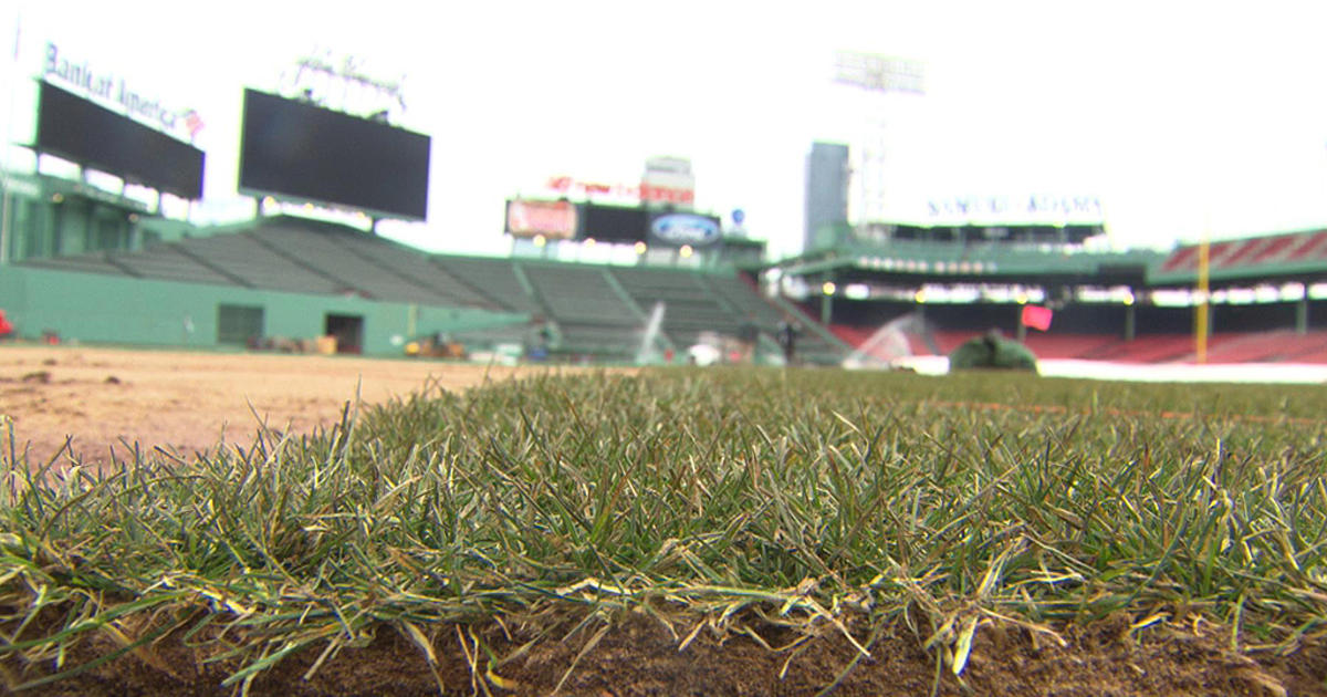 Boston Red Sox Grounds Crew Installs New Field Inside Fenway Park - CBS  Boston