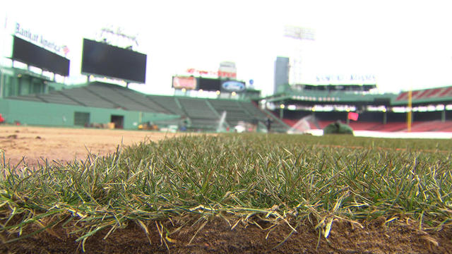 lone red seat fenway park