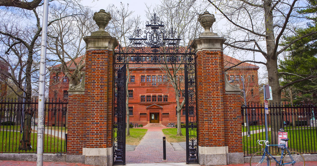 Ivy League acceptance rates hit shocking lows amid pandemic