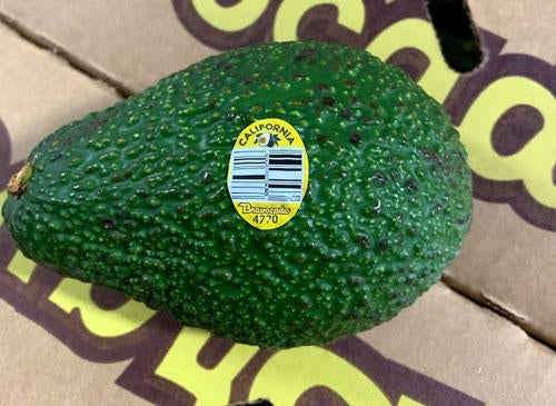 Avocado recall Listeria bacteria concerns given as California grower