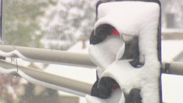 LED LIGHT FOLLOW 6PKG_frame_736 