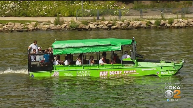 just-ducky-tour.jpg 