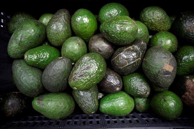 Fresh Haas Avocados Bag - Shop Avocados at H-E-B