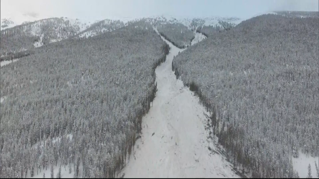 TRAIL OPENING DELAYS 6PKG.transfer_frame_310 