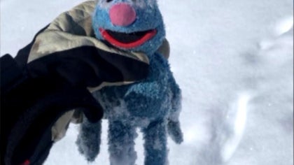 grover.jpg 