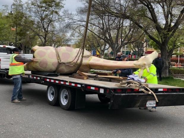 giraffe statue airlifted 4– city of Vacaville 
