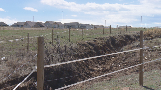 TIRE CLEANUP 5PKG.transfer_frame_844 