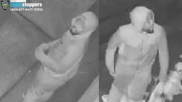 837-19-Grand-Larceny-104-Pct-Photo