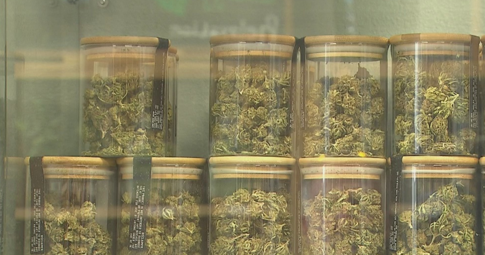 Texas Now Accepting Applications To Manufacture, Sell Consumable Hemp