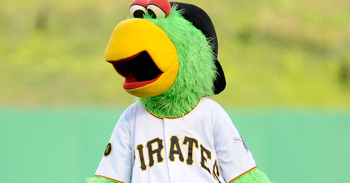 Survey: Pirate Parrot Named Among Most Popular MLB Mascots - CBS