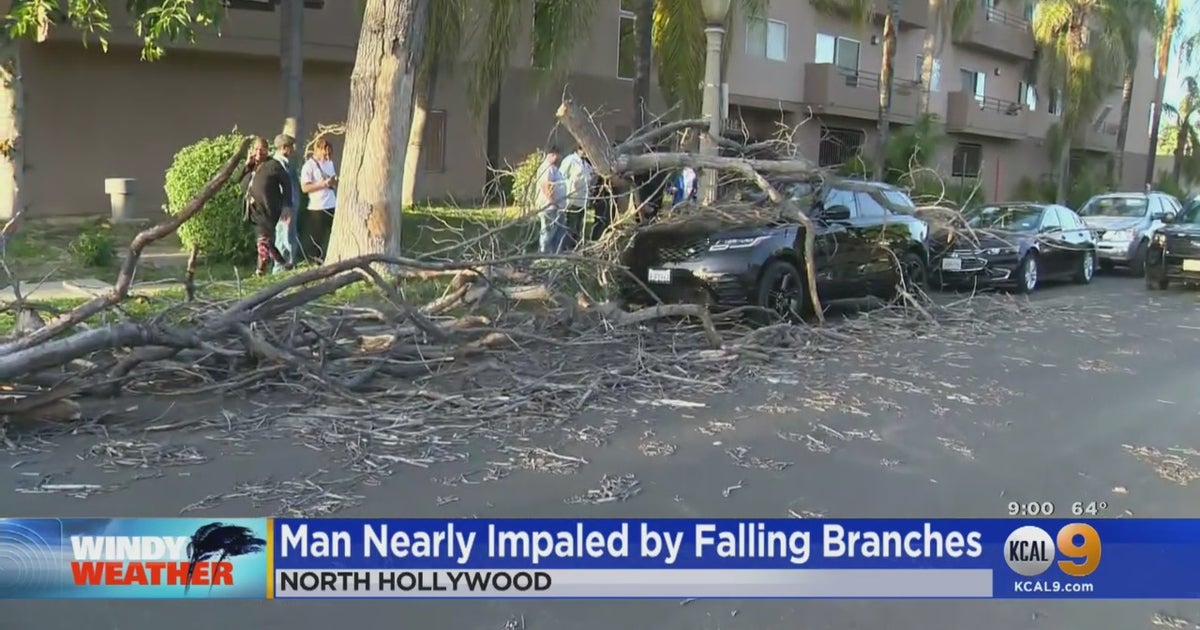 Winds Whip Up Across Southland, Down Power Lines And Topple Trees - CBS ...