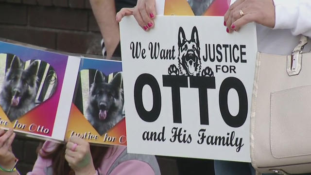 justice-for-otto.jpg 