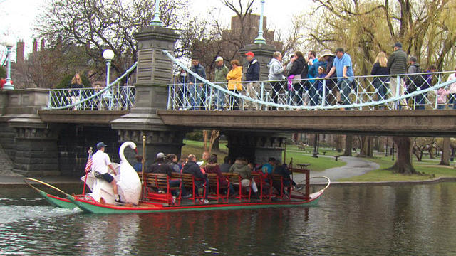 swanboats.jpg 