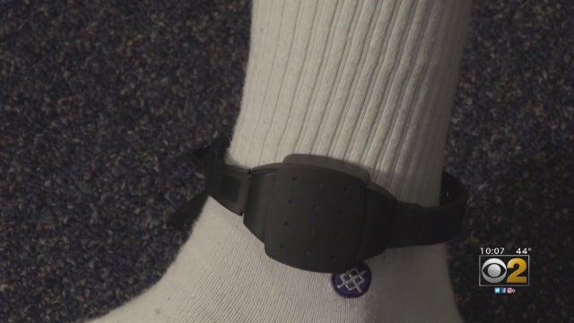 electronic-monitoring.jpg 