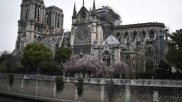 gettyimages-1137515526.jpg 