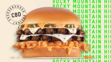 rocky_mountain_high_cheeseburger_delight_burger_21.jpg 