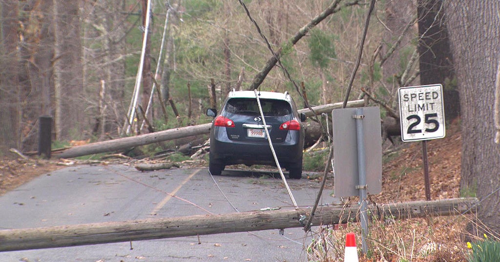 Driver Trapped In Car After Tree, Power Lines Fall - CBS Boston