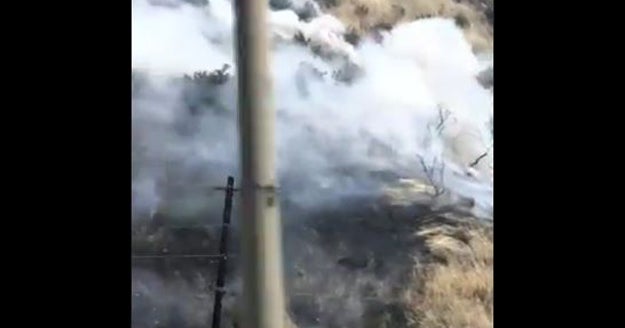 Firefighters Knock Down Small Brush Fire Near 405 In Selpulveda Pass ...